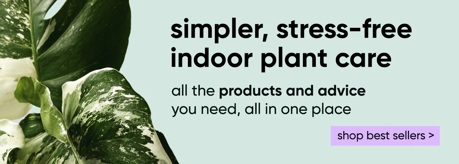 Happier Plants, Zero Guesswork